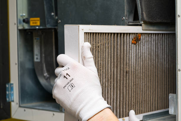 Best Air Duct Sanitizing Services  in Michigan City, IN